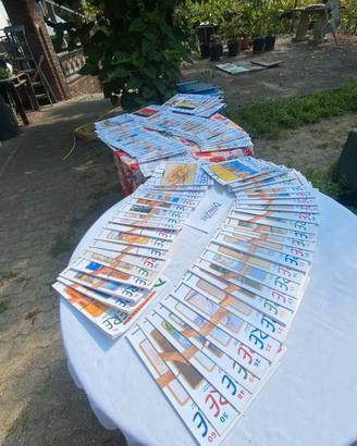 Lotto Corso di Pittura DeAgostini PiacereDipingere