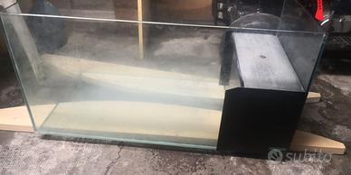 Acquario tartarughiera