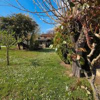 Genazzano, Indipendente e locale artigianale