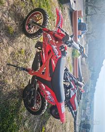 Mini quad e cross