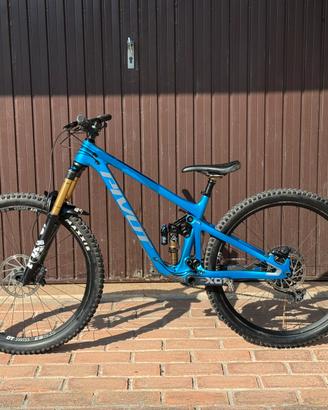 Pivot switchable x01 2024