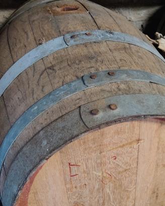 botti da vino e damigiane 50 lt