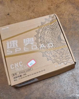 Pacco pignoni 12V 11-50 corpetto HG