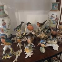 Collezione uccelli porcellana
