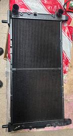 Radiatore acqua Fiat Uno Turbo D