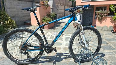 MTB Torpado Nearco