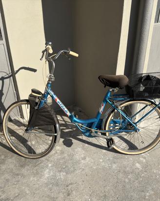 Biciclette varie