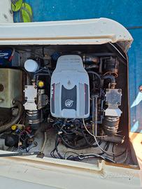 Mercruiser 4.3 mpi 225cv anno 2011 550 ore