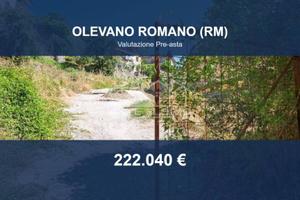 Immobile in asta di 17072 m² a Olevano Romano
