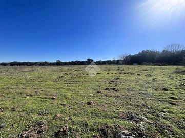 TER. RESIDENZIALE A CURTAROLO