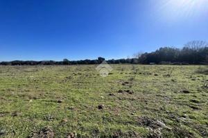 TER. RESIDENZIALE A CURTAROLO