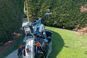 Harley davidson Heritage springer