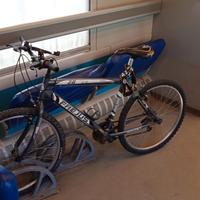 Bici mountain bike