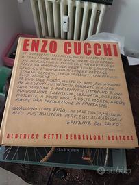 Libro Enzo Cucchi Tutti a Cena nel cavallo