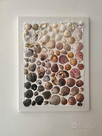 Quadro composizione artistica conchiglie mare