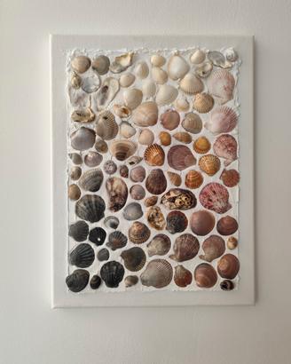 Quadro composizione artistica conchiglie mare