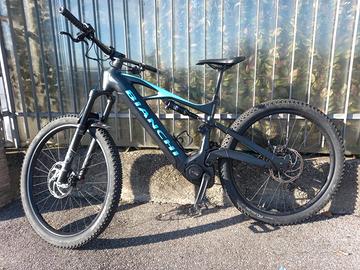 Bianchi e-vertic fx-type gx Tg M