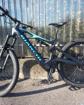 Bianchi e-vertic fx-type gx Tg M