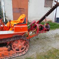 Fiat 312 (Cingolato)