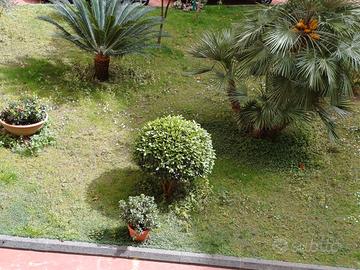 Posto letto in stanza singola