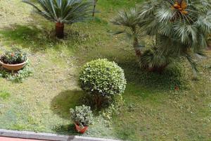 Posto letto in stanza singola