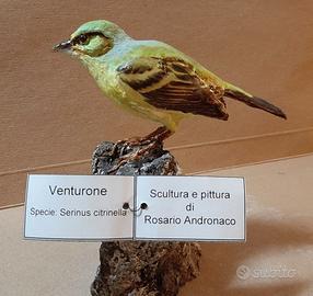 Venturone in scultura da collezione