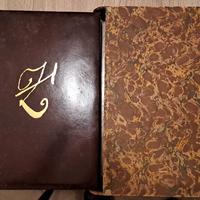 Il tramonto di Cagliostro: il processo e la difesa