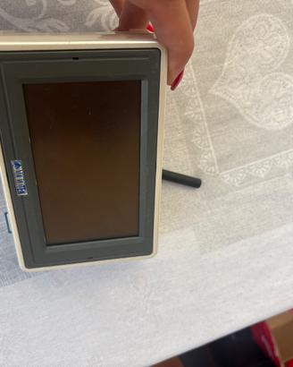 Display Microtek
