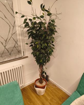 pianta finta da arredo 