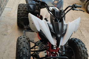 Quad LEM 250 annk 2020