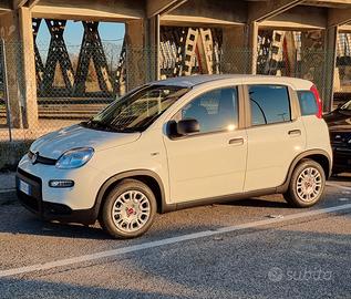 Fiat panda 1.0fireFly 70 cv