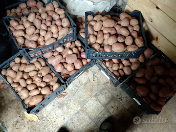 Patate di nostra produzione