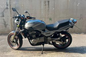 Kawasaki ER-5