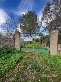 Villaggio delle mimose terreno recintato