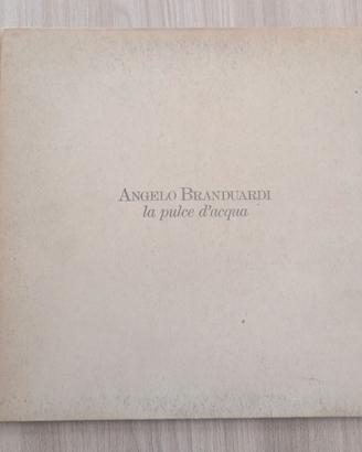 Angelo Branduardi - La Pulce d'Acqua