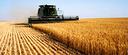 terreno-agricolo-correzzola-0630231832tvrg-