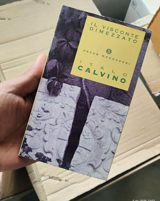 Il visconte dimezzato" - Italo Calvino