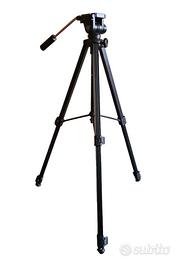 l treppiede con testa,fluida