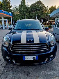 Miny Countryman