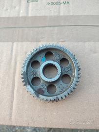 ingranaggio ruota posteriore piaggio ntt nrg zip 