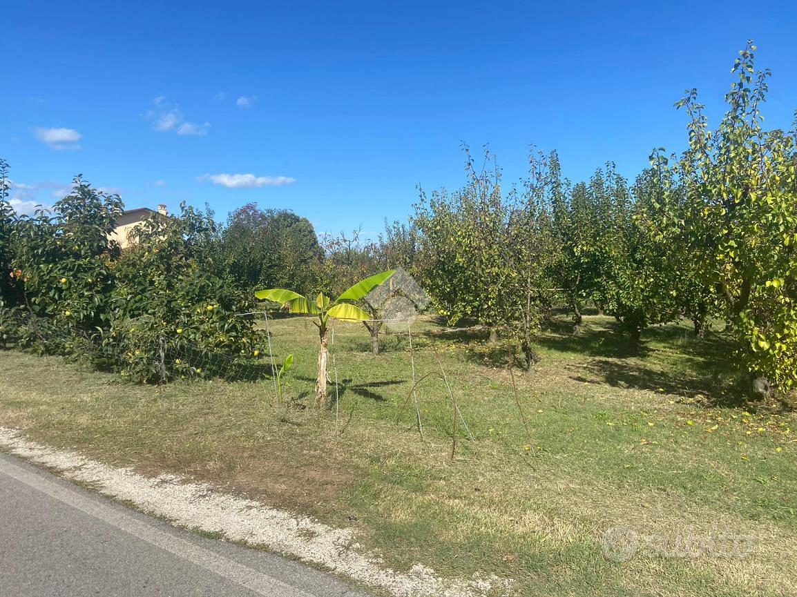 TER. AGRICOLO A SAVIGNANO SUL RUBICONE - Vista 5