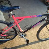 Mountain bike vintage