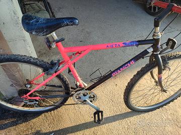 Mountain bike vintage