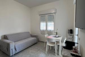 Disponibilita Agosto