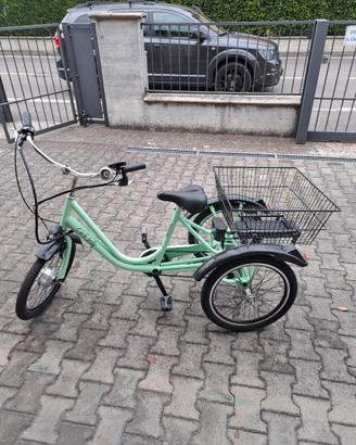Bicicletta elettrica