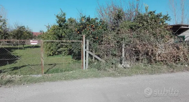 Lotto terreno mq 1200 casetta pozzo enel piante