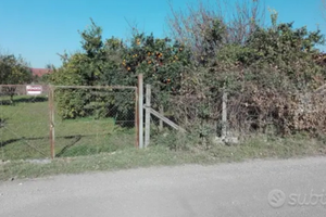 Lotto terreno mq 1200 casetta pozzo enel piante