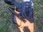 Immagine 2