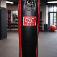 Sacco da Boxe everlast
