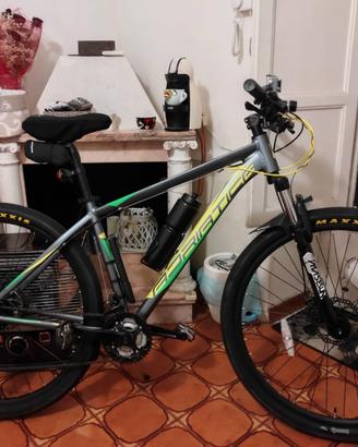


MTB Adriatica 29 con Maxxis taglia XL